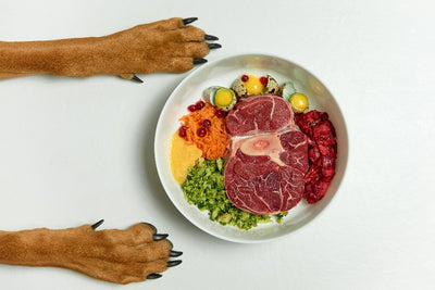 Keeping your dog healthy with a natural, raw diet